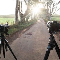 The Dark Hedges - już wkrótce nowe zdjęcia