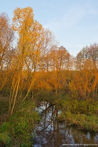 Sunrise at the Pisia Gągolina river