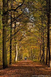 Autumn cycle trip