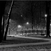 Grudniowy poranek w parku / December Morning in the park