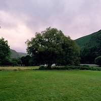 Wicklow Mountains | Analogowo