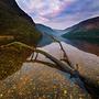 glendalough o poranku :: plener 2017