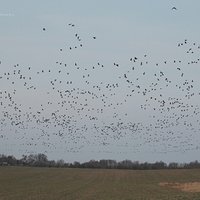 Między zimą a wiosną na Warmii