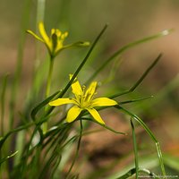 Sign of spring