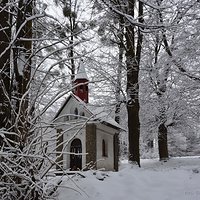 Dziś w nocy spadł śnieg