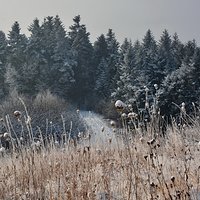 Przyszła do mnie zima