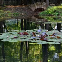 Wrześniowy Park suski