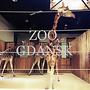 Zoo