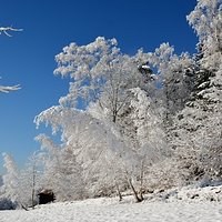 Ostatni spacer 2017 roku