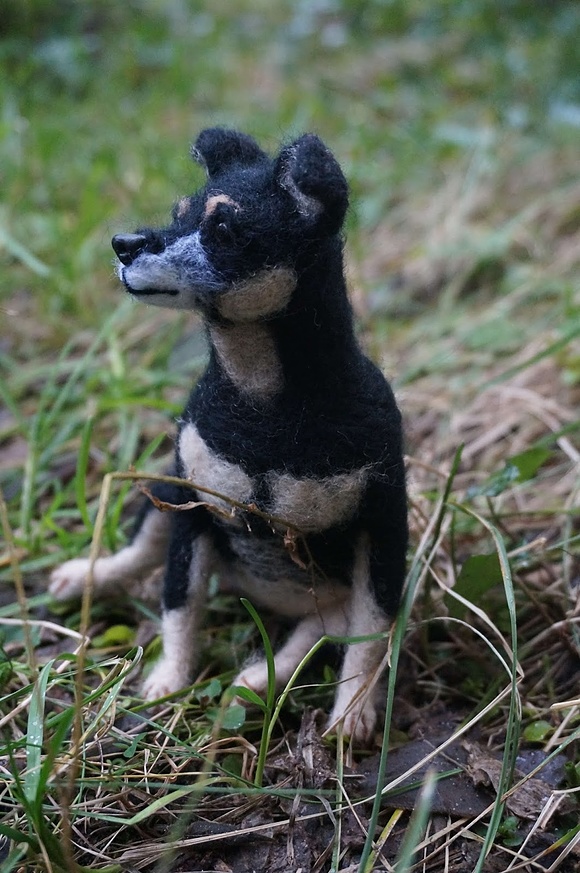 Kolejny psi portret - Saba