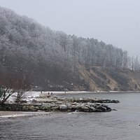 Orłowo osnute mgłą i szadzią ... part.1 ... 10.02.18.