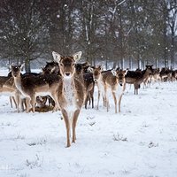 Piękna zimowa aura