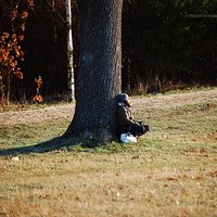 „Przecież ludzie stąd wyjeżdżają”