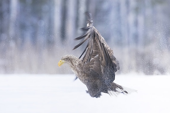 Okno na świat - cz.II - ga ... nie ostatnia.