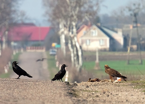 Kilka (czyli dokładnie 625) słów o karslipingu