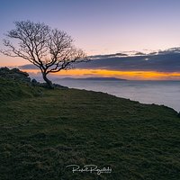 Magia Murlough Bay