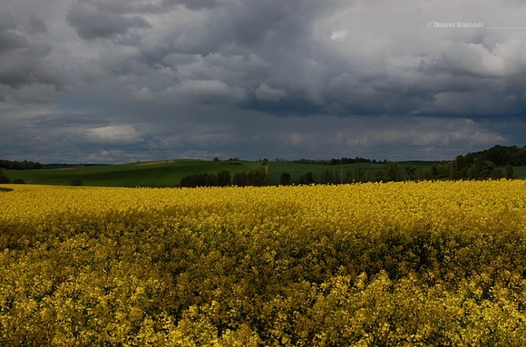 Fotografia w podróży