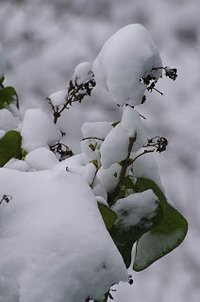 Złota polska jesień- tydzień później