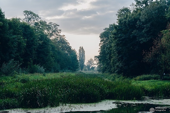 Park w Kaliszu (1 zdjęcie)