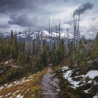 Mount Revelstoke National Park