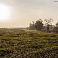 Dolina bobrów (1 zdjęcie)