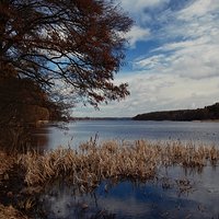 Przystanek Mazury / Jezioro Kalwa, Pasym oraz cmentarz ewangelicki w Jedwabnie