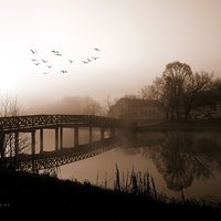 Misty morning...Kończyce Małe.