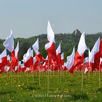 Święto Flagi Rzeczypospolitej Polskiej - Krakowskie Błonia 2.05.2019.