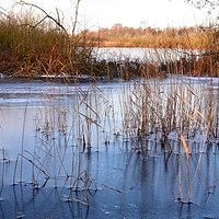 Pictures of winter