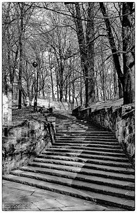 Stairs to the park