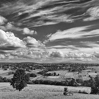 Wilga river valley in b&w