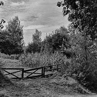 On the way to the Będkowska Valley