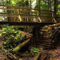 Footbridge on the mountain trail