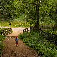 Entrance to Little Meadow Valley