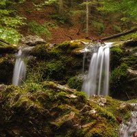 Stream in Valley Behind the Gate