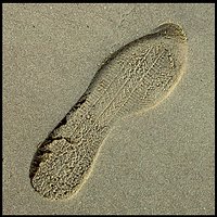 Footprint