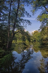 Pond in Castle Park in Pszczyna