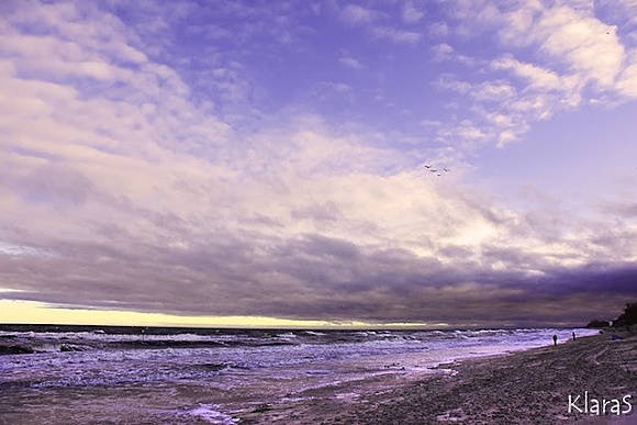 Cold morning by the sea