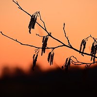 Sunrise in the Ekopark Wschodni