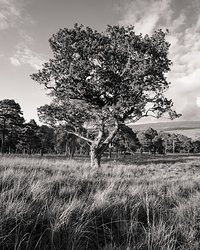 Wicklow Mountains