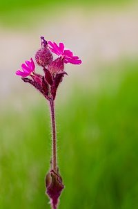 Utrata poczucia czasu