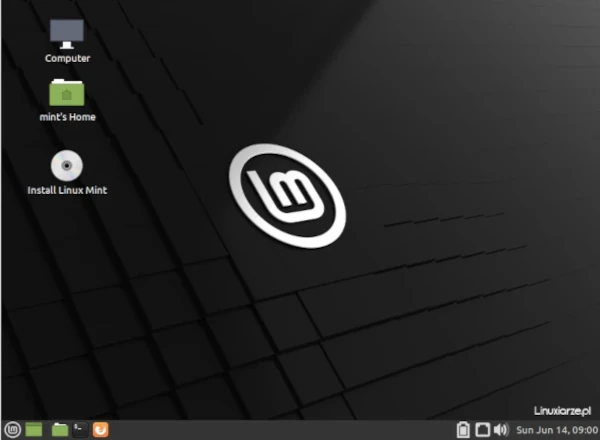 linux mint 20 mate