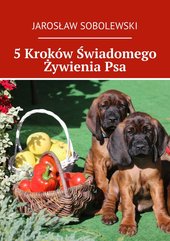 5 Kroków Świadomego Żywienia Psa