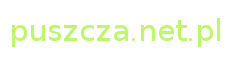 Logo LubieFizyke.pl