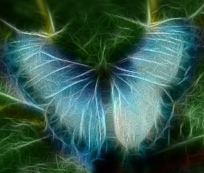 Motyl, Fractalius, Niebieski