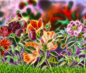 Kwiaty, Fractalius, Różnobarwne