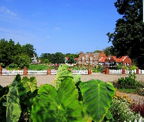 Ogród, USA, Michigan, Liście, Domy