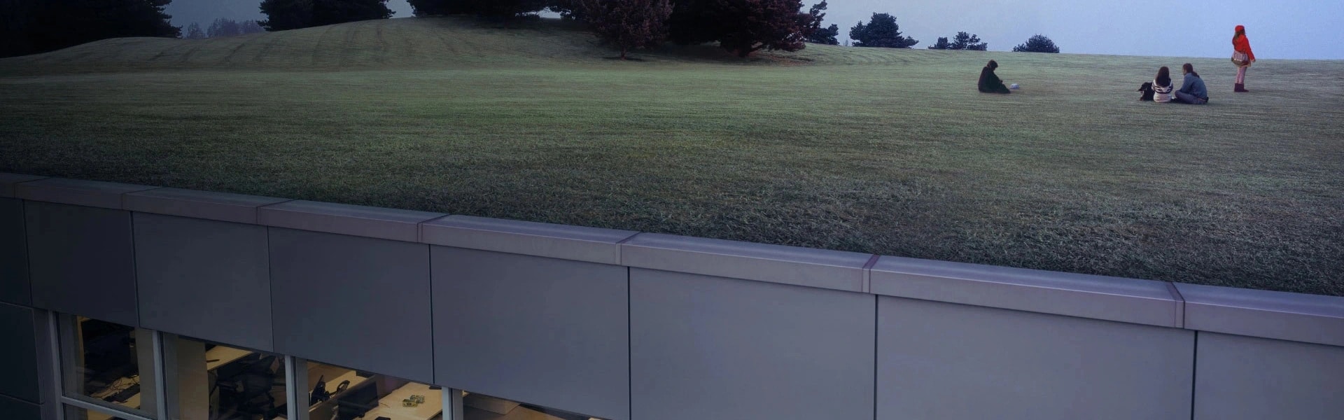 People playing on a lawn with a hint of an office building underneath 