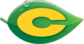 c logo