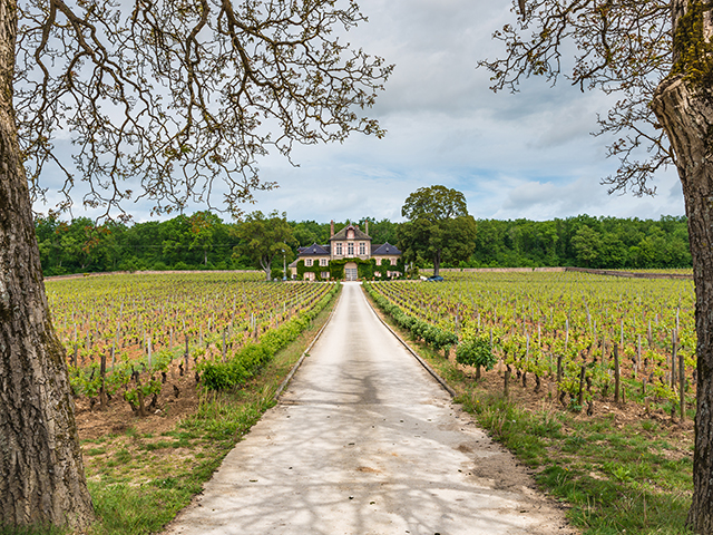 Nuits-Saint-Georges